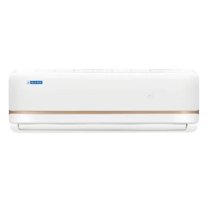 Blue Star 1.0 ton 2 Star Non Inverter Split Ac-FA212TXU-2026